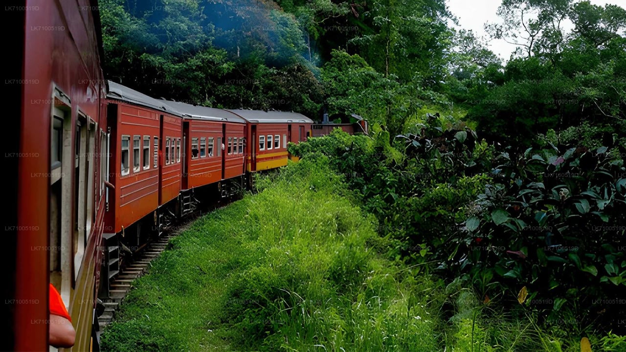 Ella to Ambewela train ride on (Train № 1005/1015)