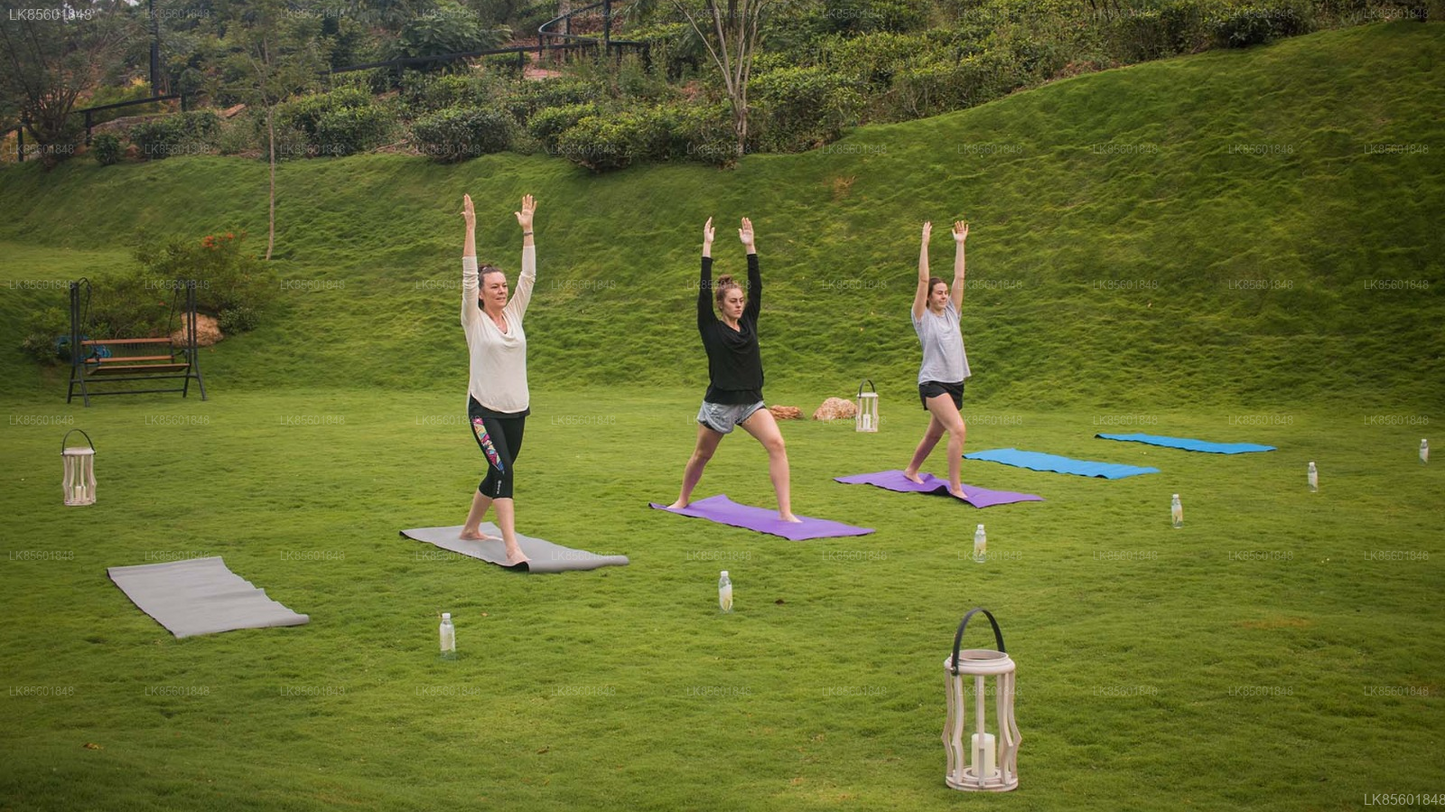 Waterfall Yoga Experience from Bandarawela