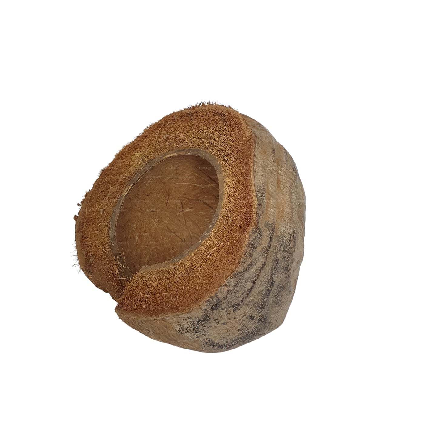 Bivenro Natural 3/4 Cocoa Hideout With Husk design (Free Size)
