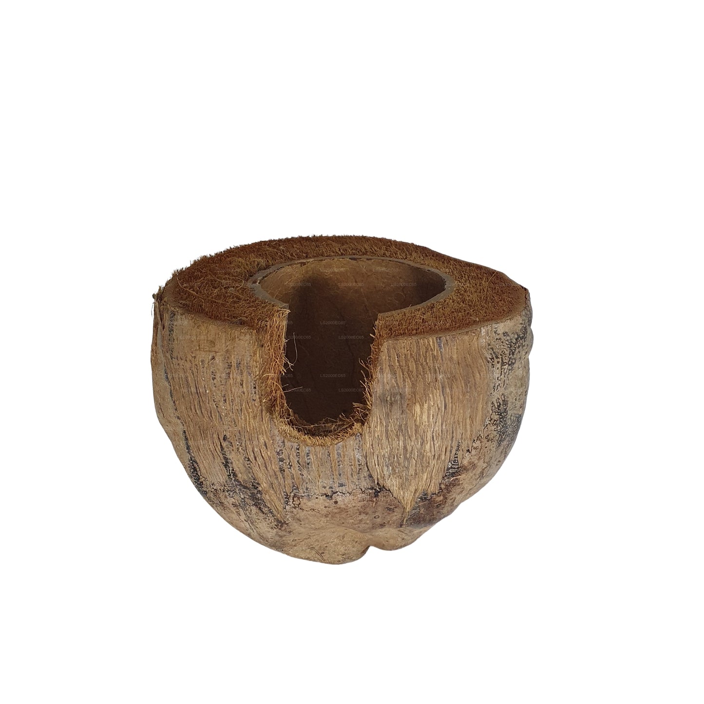 Bivenro Natural 3/4 Cocoa Hideout With Husk design (Free Size)