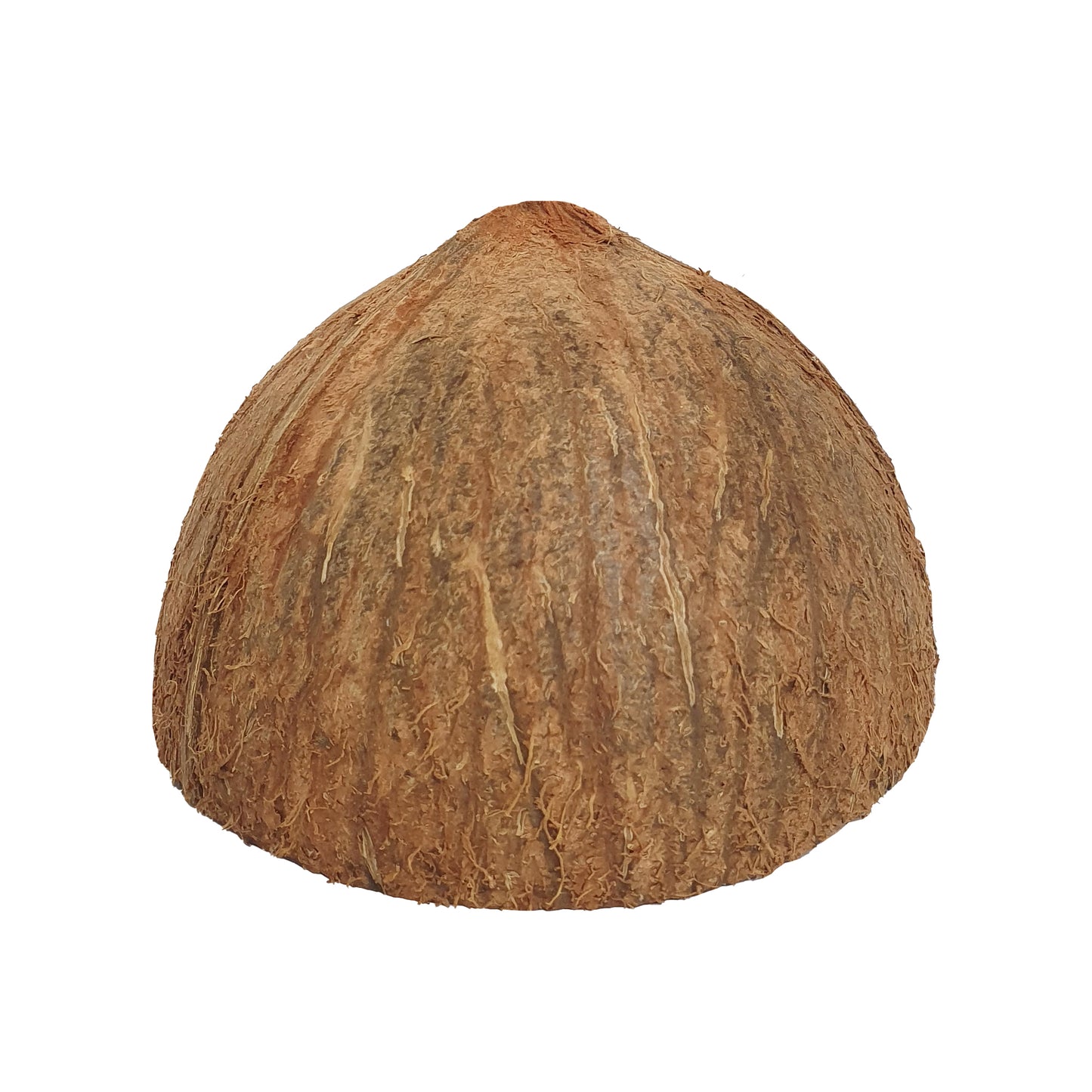 Lakpura® Coconut Shell Halves