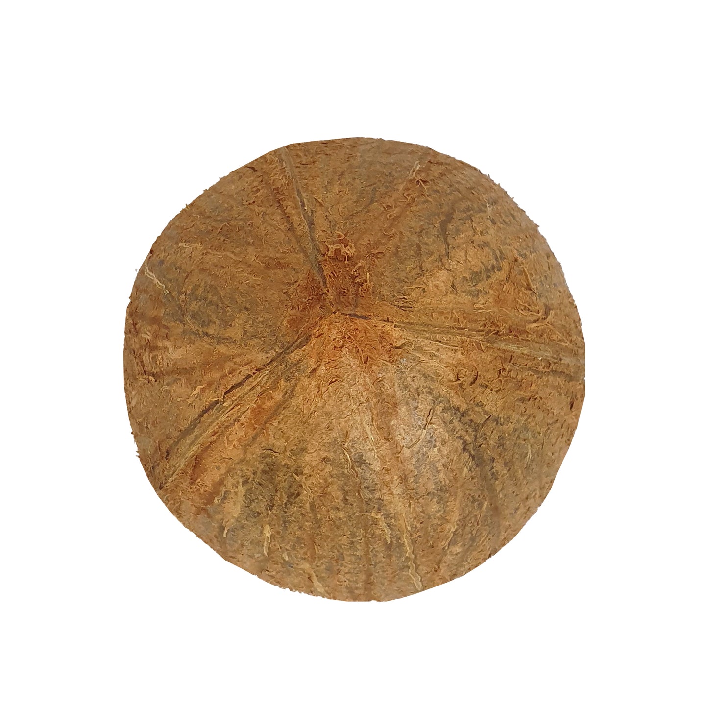 Lakpura® Coconut Shell Halves