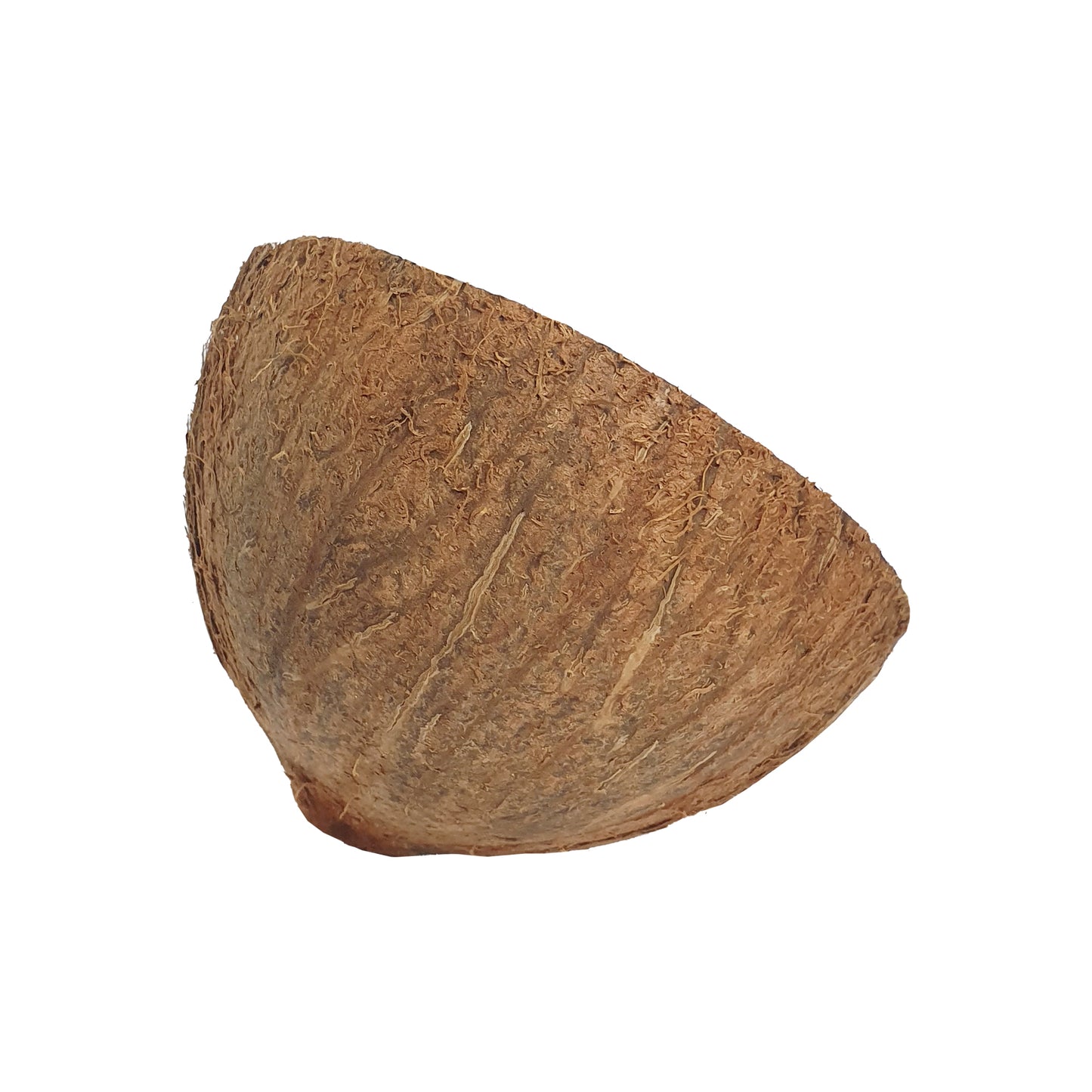 Lakpura® Coconut Shell Halves
