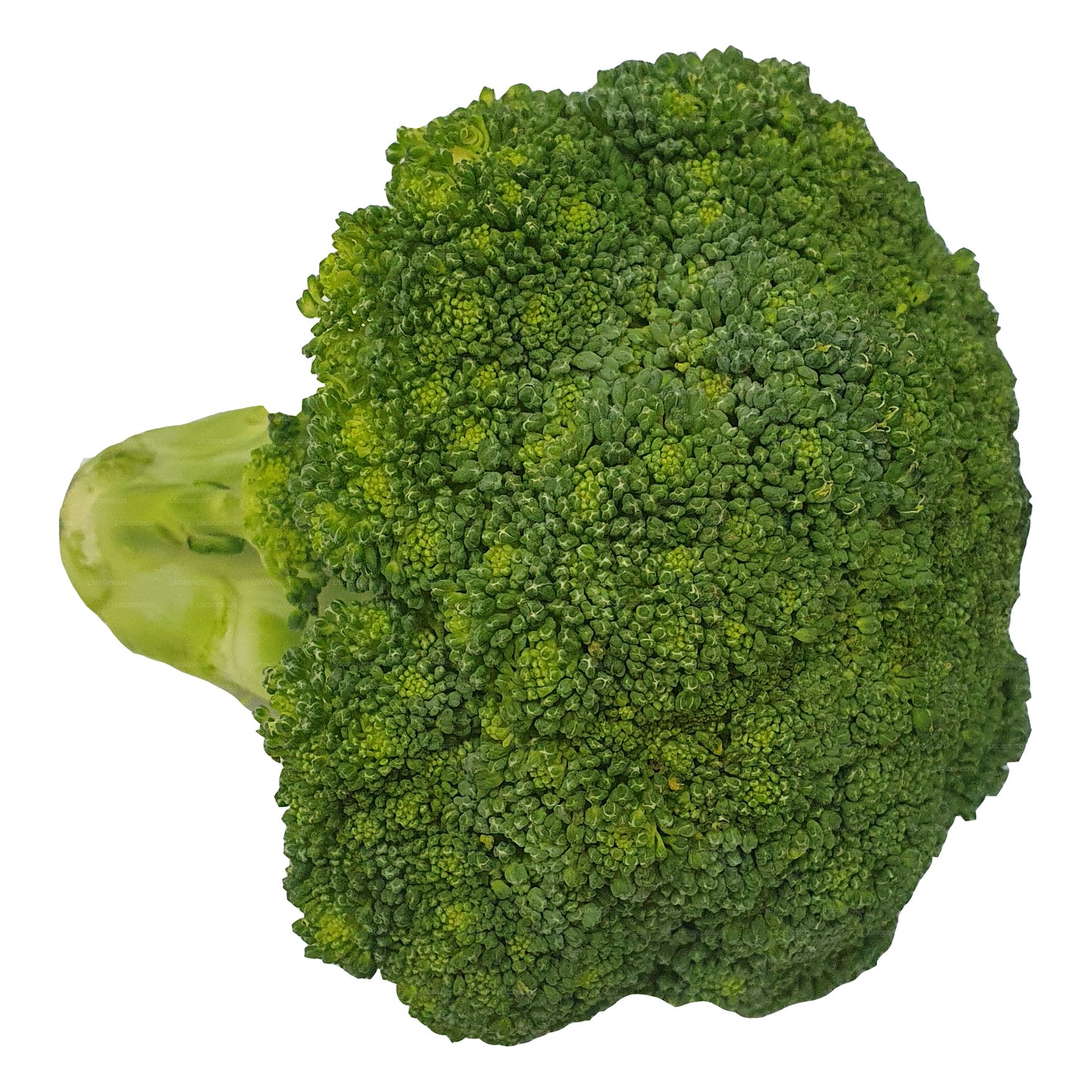 Lakpura® Broccoli