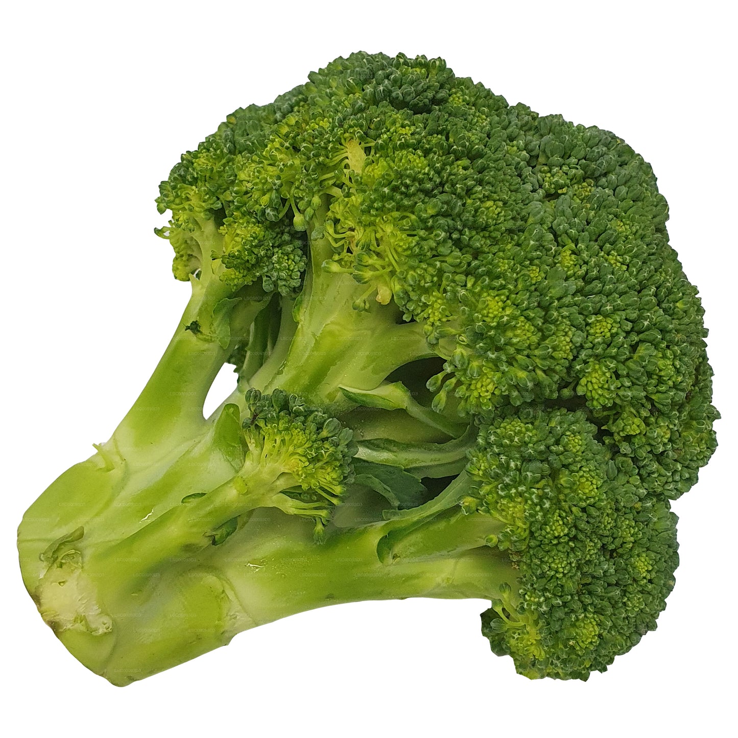 Lakpura® Broccoli
