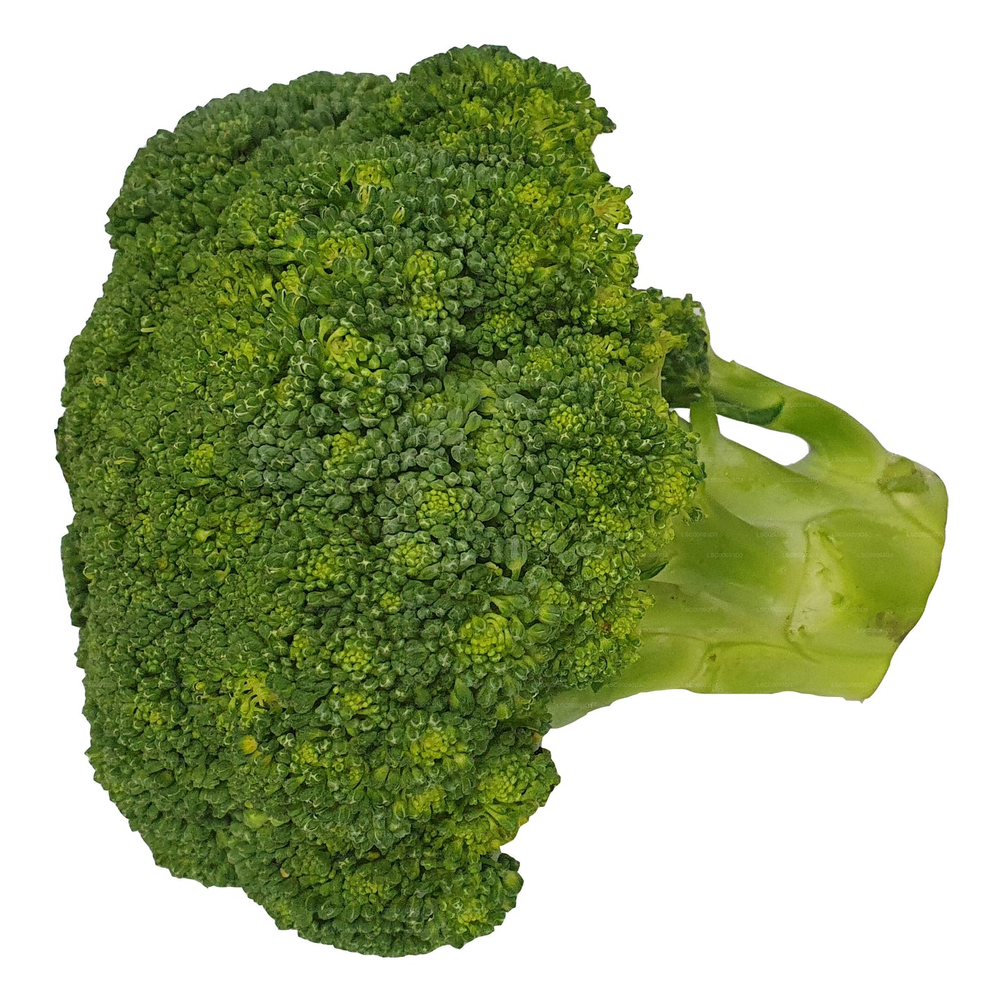 Lakpura® Broccoli