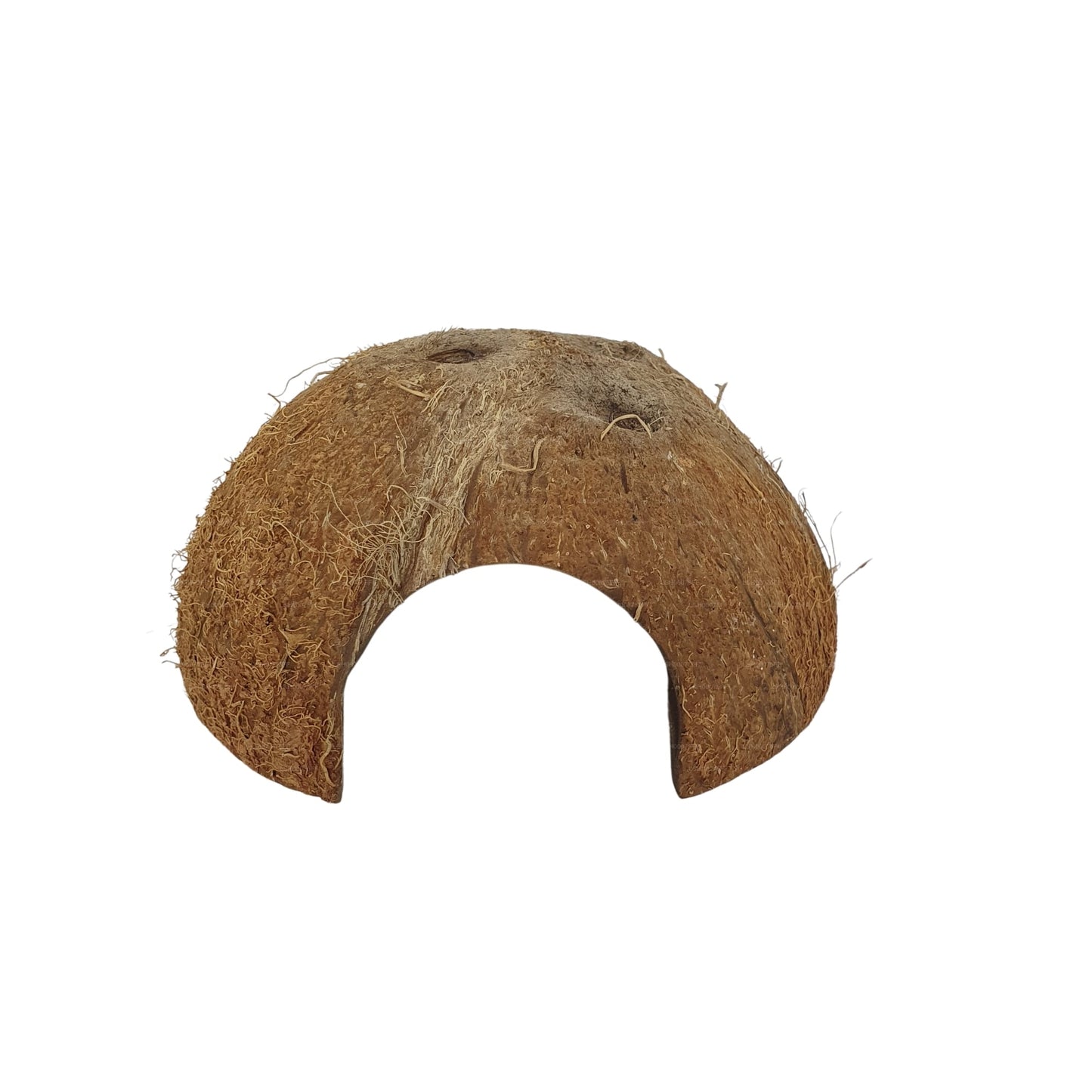 Bivenro Natural 1/2 Coconut Shell Cave (Free Size)