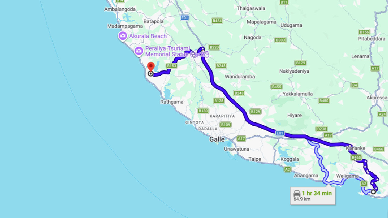 Baby Turtle Release from Mirissa