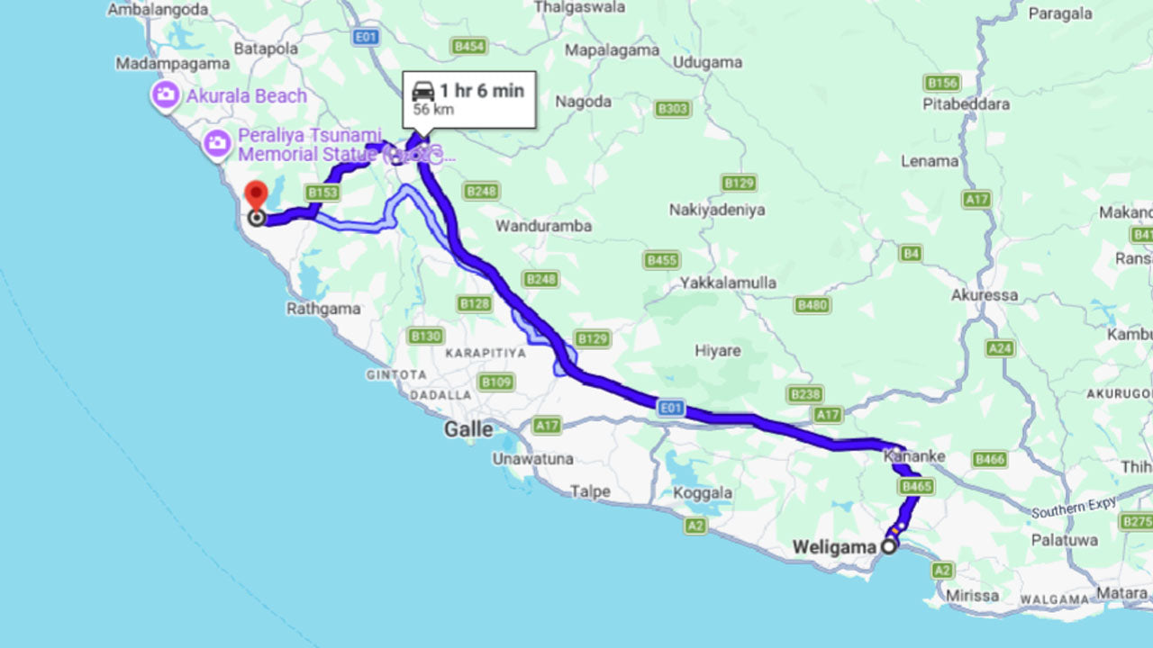 Baby Turtle Release from Weligama