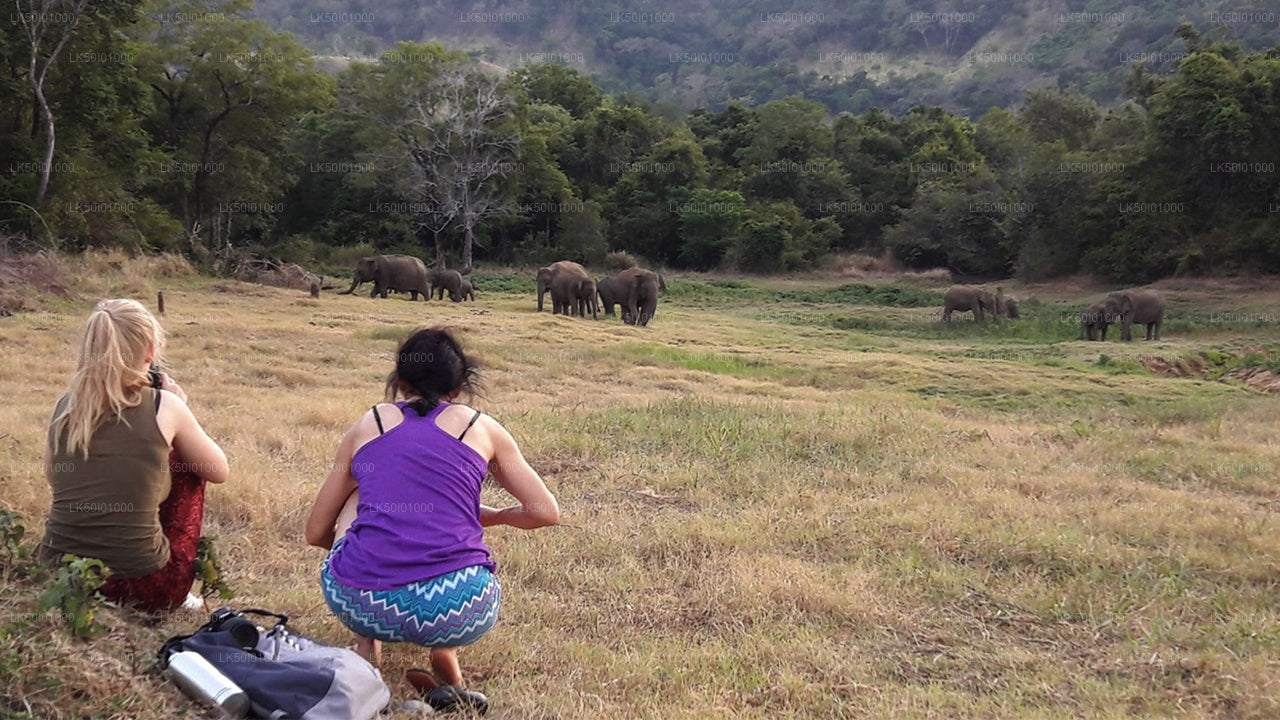 Wasgamuwa National Park Private Safari