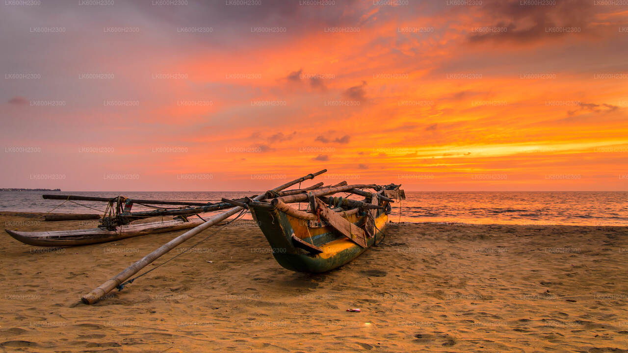 Negombo City Tour from Colombo