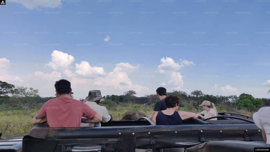 Hurulu Eco Park Private Safari from Habarana