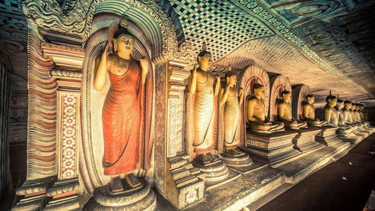 Dambulla Cave Temple Guided Tour with Tickets