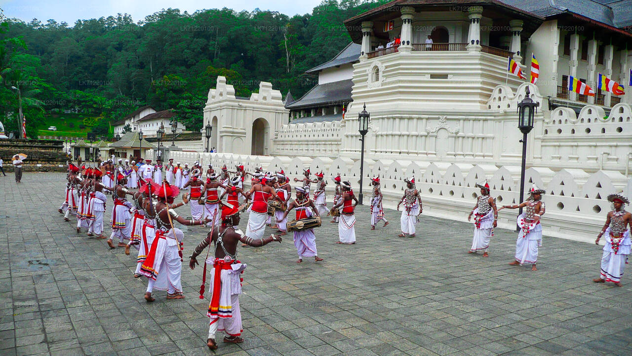 Temple of The Sacred Tooth Relic Entrance Ticket with Guide